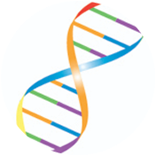 Custom DNA Paper, used in paper to provide advanced security to business cheques.